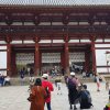 Todaiji Temple - Main Enterance